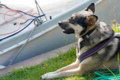 CNFT 2023:

24 heures de Tegel 2023:
Berlins längste Regatta