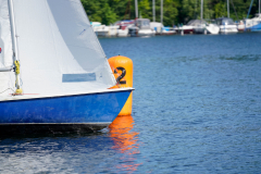 CNFT 2023:

24 heures de Tegel 2023:
Berlins längste Regatta