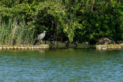 CNFT 2023:

24 heures de Tegel 2023:
Berlins längste Regatta