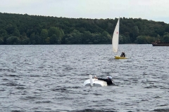 2019-Tripartite-247-von-280